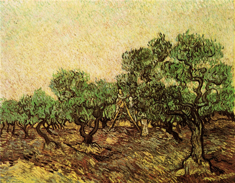 Olive Picking Vincent Willem Van Gogh Oil Painting